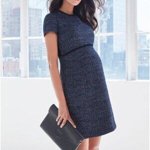 Seraphine Maternity Dress